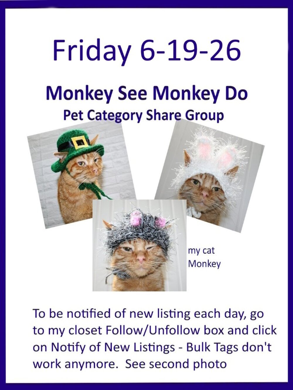 Friday 6-19-26 Dog Cat Small Animal Pet Share Discussion Group